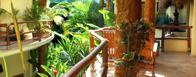 Playa del Carmen Hotels