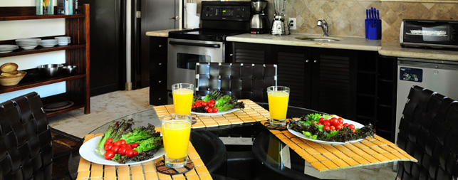 Playa del Carmen Hotels