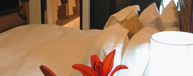 Playa del Carmen Hotels