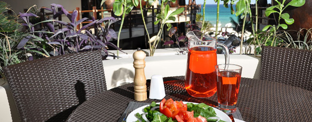 Playa del Carmen Hotels