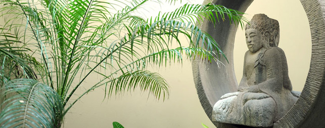 Playa del Carmen Hotels