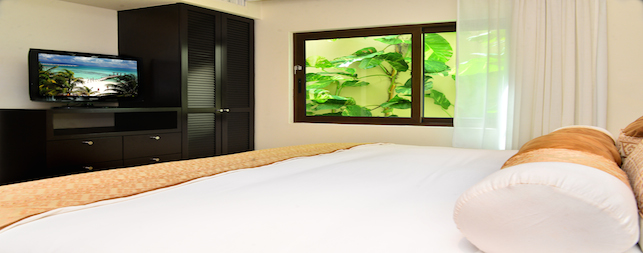 Playa del Carmen Hotels