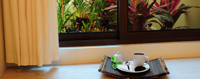 Playa del Carmen Hotels