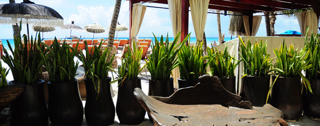 Playa del Carmen Hotels