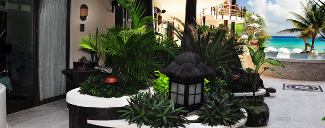 Playa del Carmen Hotels