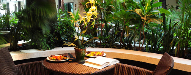 Playa del Carmen Hotels