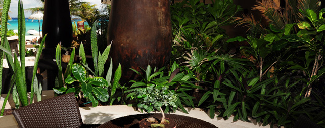 Playa del Carmen Hotels