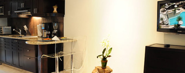 Playa del Carmen Hotels