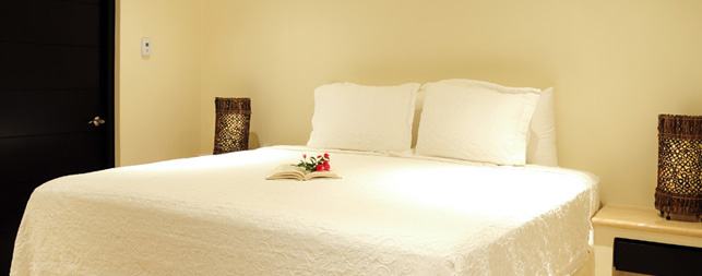 Playa del Carmen Hotels
