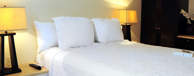 Playa del Carmen Hotels