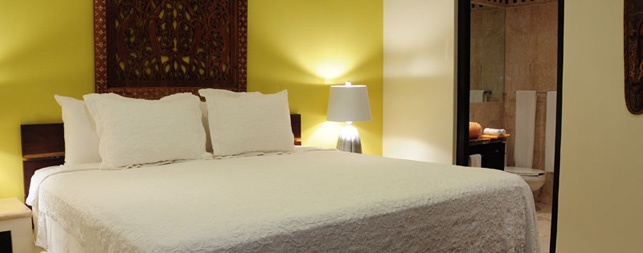 Playa del Carmen Hotels
