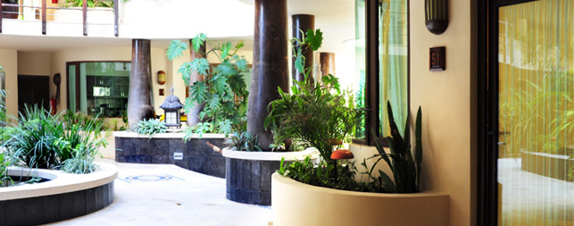 Playa del Carmen Hotels