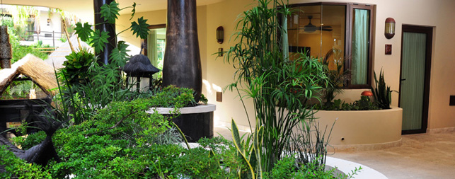 Playa del Carmen Hotels