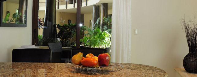 Playa del Carmen Hotels