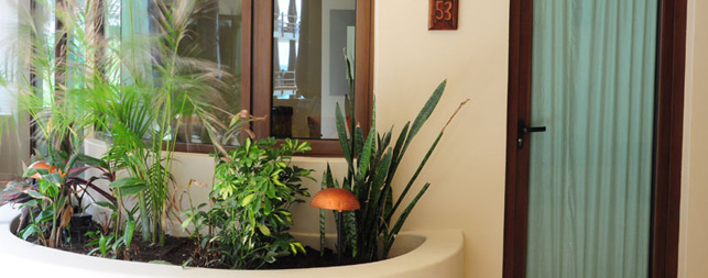 Playa del Carmen Hotels