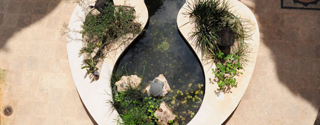 Playa del Carmen Hotels