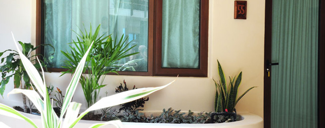 Playa del Carmen Hotels