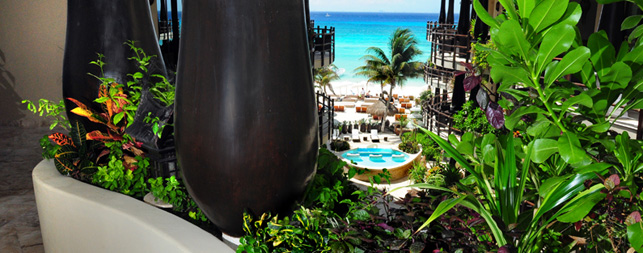 Playa del Carmen Hotels