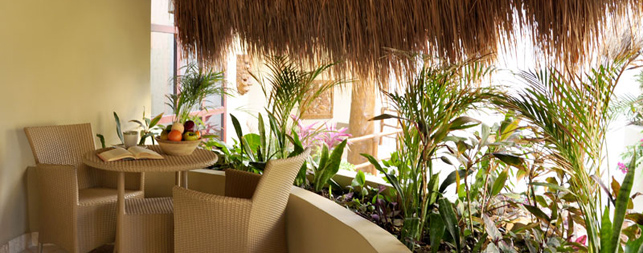 Playa del Carmen Hotels