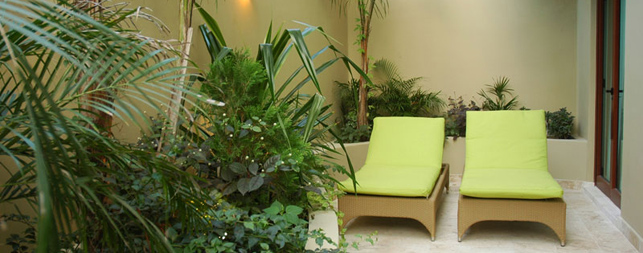 Playa del Carmen Hotels