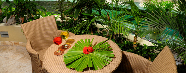 Playa del Carmen Hotels