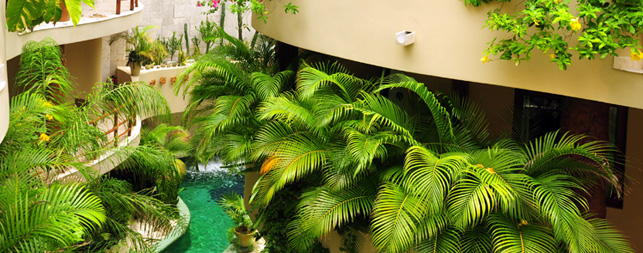 Playa del Carmen Hotels